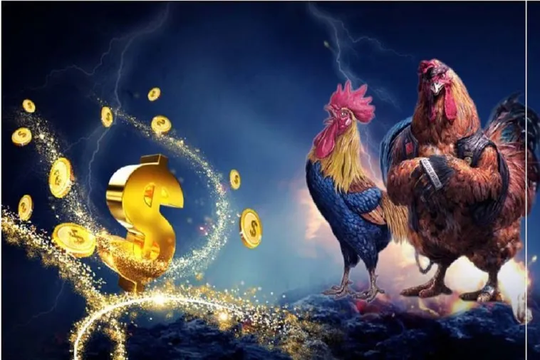Đá Gà SBOBET: Trải Nghiệm Cá Cược Đỉnh Cao Với Trận Đấu Kịch Tính