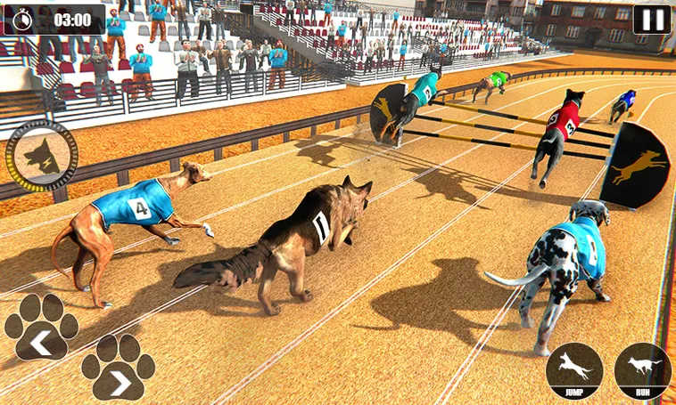 Cách Chơi Game Nhanh Đua Chó Tại SBOBET Thú Vị Và Hấp Dẫn