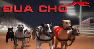 Cách Chơi Game Nhanh Đua Chó Tại SBOBET Thú Vị Và Hấp Dẫn