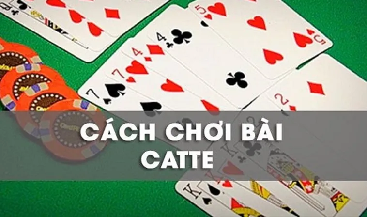 Cách Chơi Sắc Tê Nhà Cái SBOBET: Hướng Dẫn Chi Tiết Để Thắng Lớn